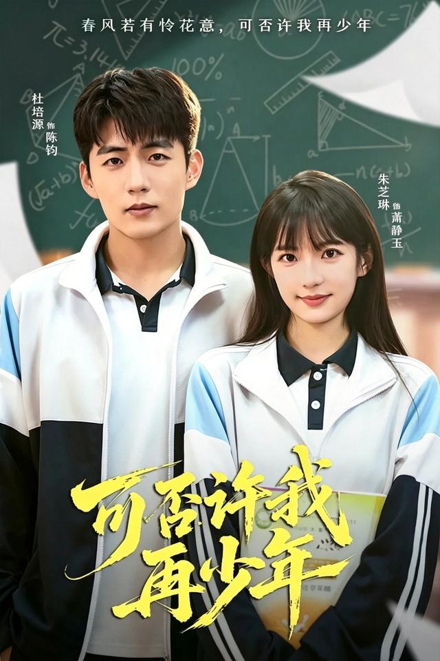 可否许我再少年海报