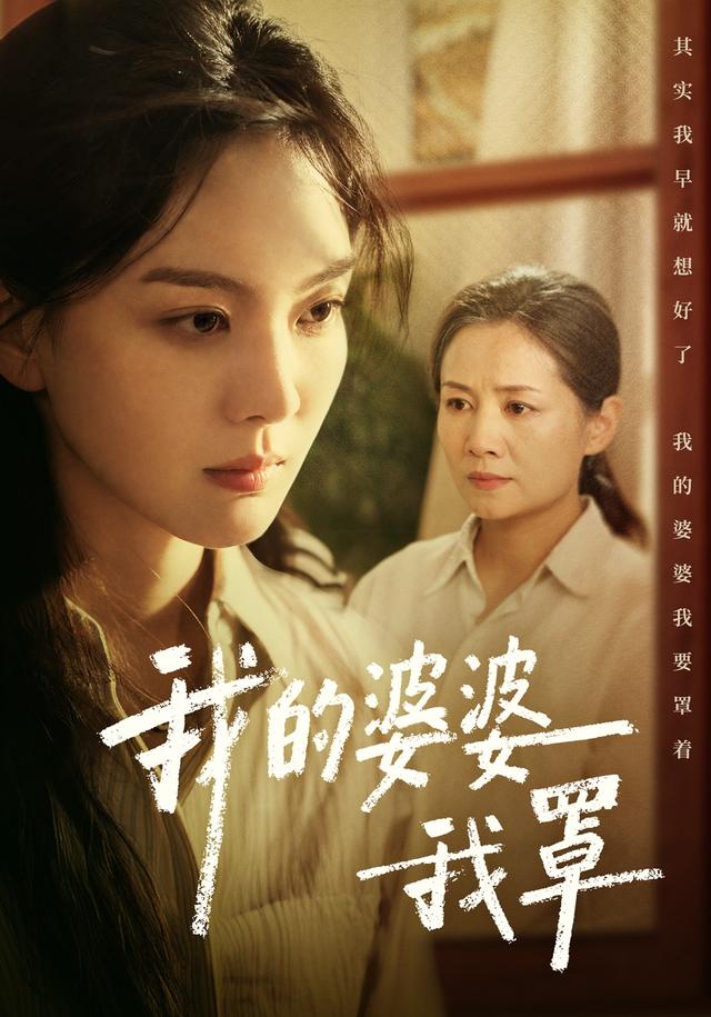我的婆婆我罩海报
